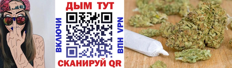 Каннабис SATIVA & INDICA  Киренск 